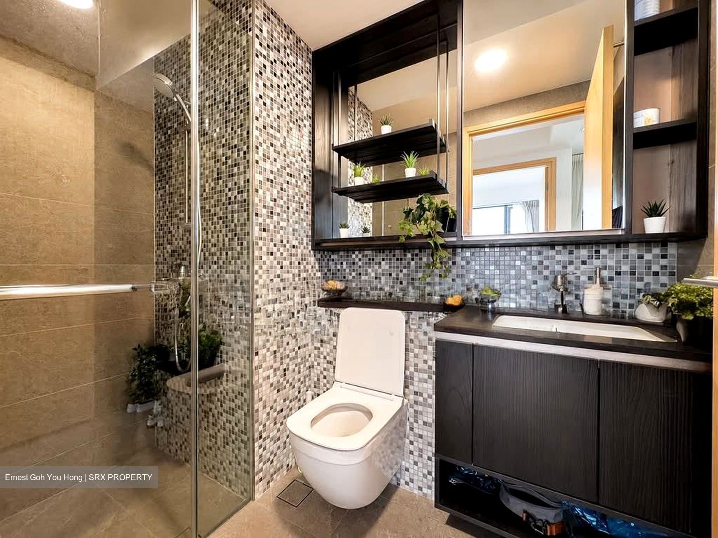 The Antares (D14), Apartment #594329371